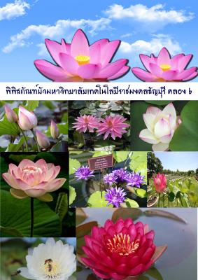 พิพิธภัณฑ์บัวมหาวิทยาลัยเทคโนโลยีราชมงคลธัญบุรี