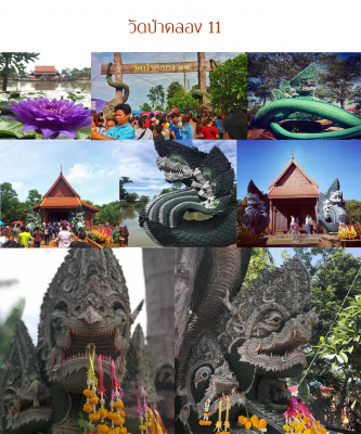 วัดป่าคลอง 11 จ.ปทุมธานี ชมรูปปั้นพญานาค กราบไหว้สิ่งศักดิ์สิทธิ์